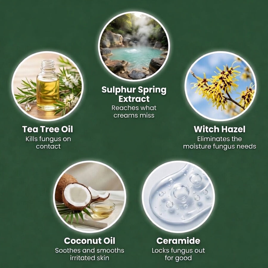 Clean Ingredients You Can Trust